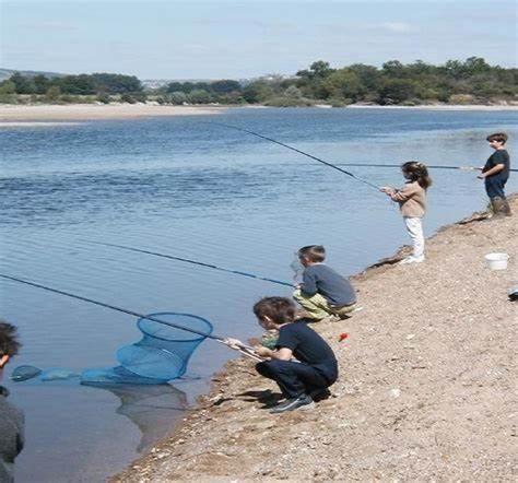 Un Gite Au Coeur Du Vignoble Chalonnes-sur-Loire Dış mekan fotoğraf